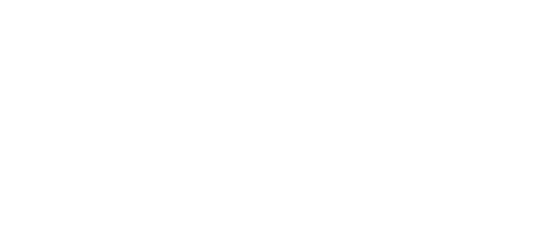 NewDigit Logo