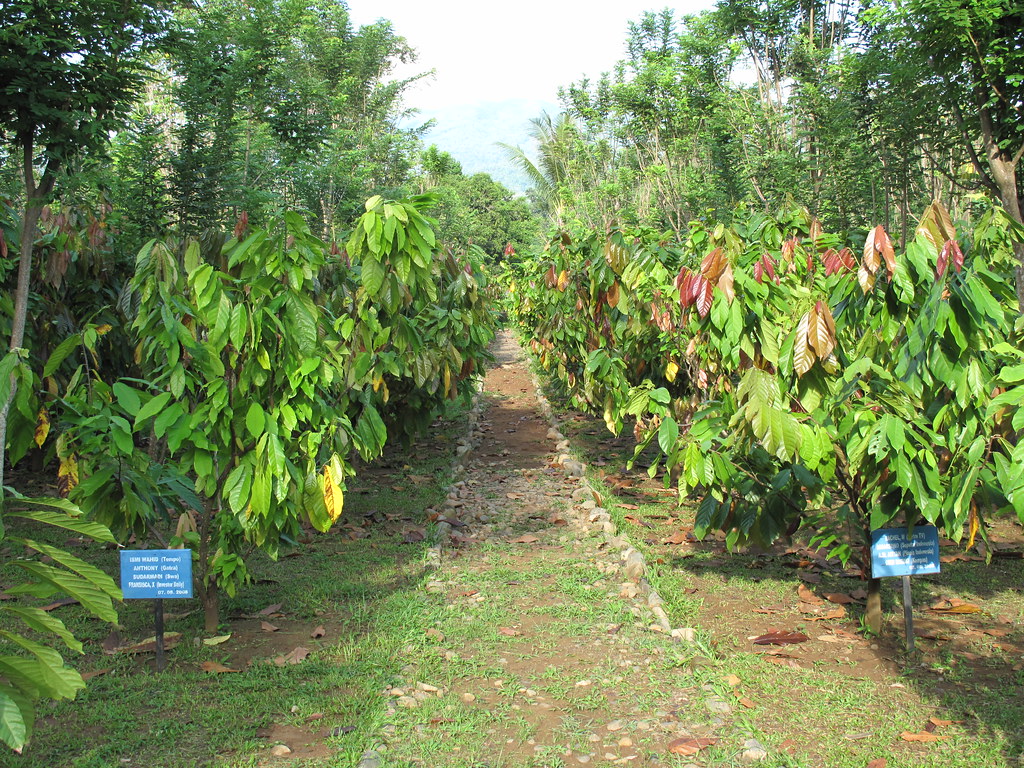 Powering Agriculture
